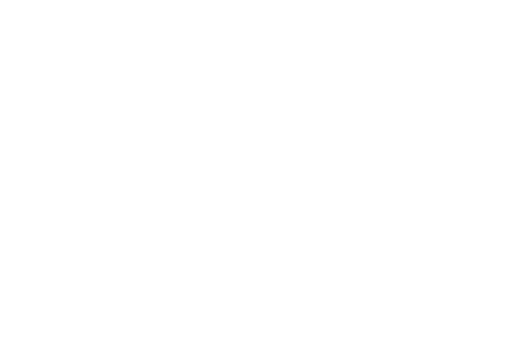 Vegas Hall of Fame badge